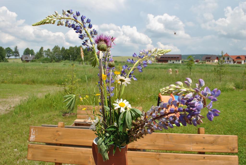 Apartmany U Dvou Soviczech Borová Lada Esterno foto