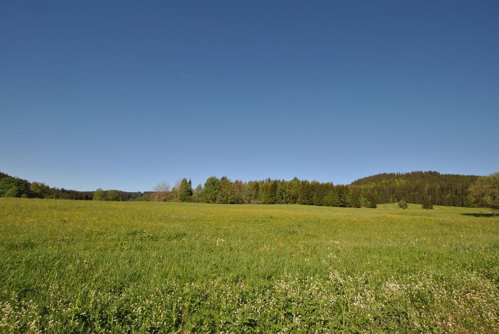 Apartmany U Dvou Soviczech Borová Lada Esterno foto